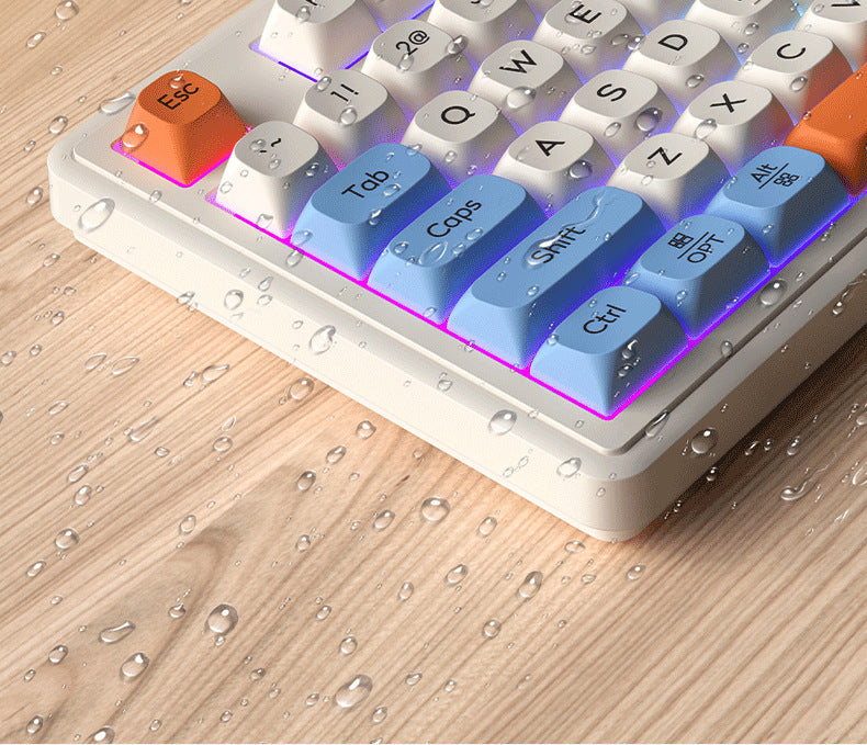 Langtu L98 Wired Silent Office Keyboard Mechanical Feel RGB Lighting Gaming Competitive High-Value Keyboard - Anleila